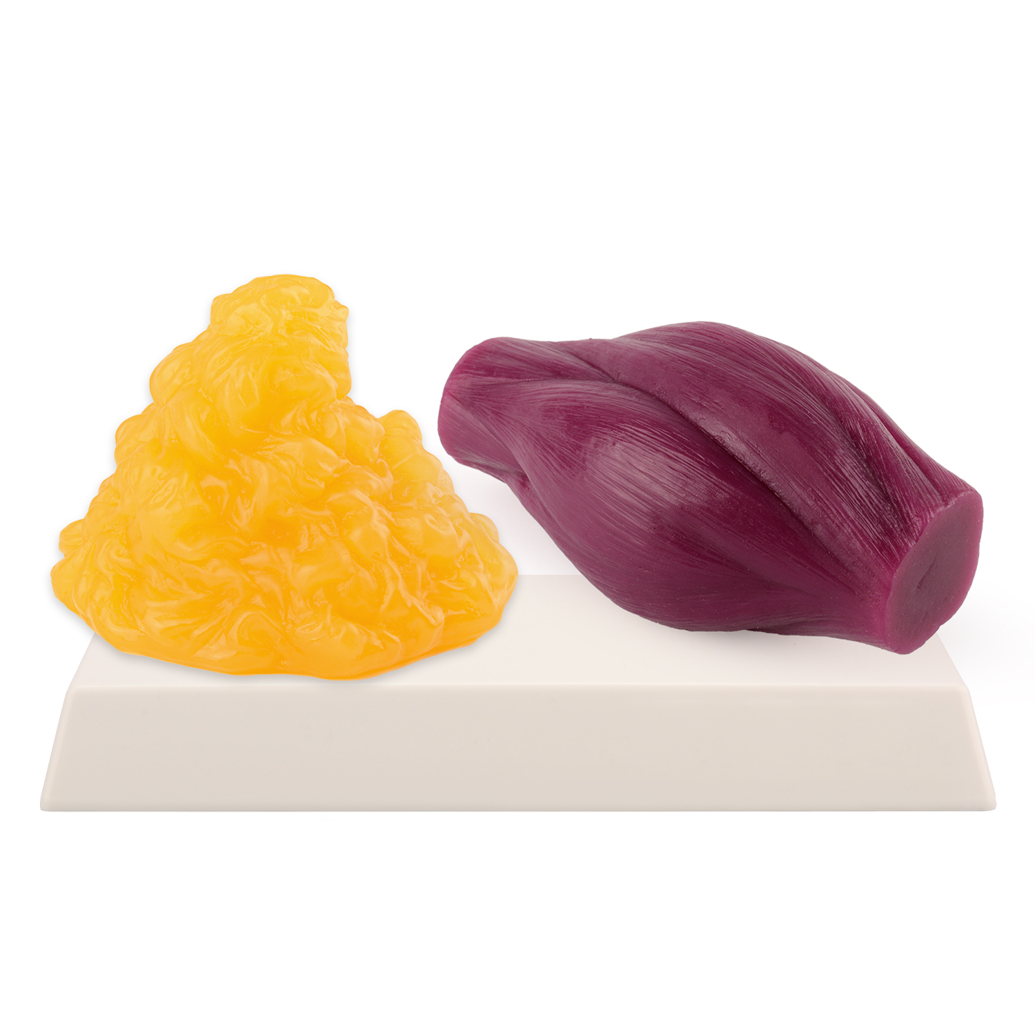 1lb Fat Replica & Muscle to Ke - Nutrition And Fitness avis et prix