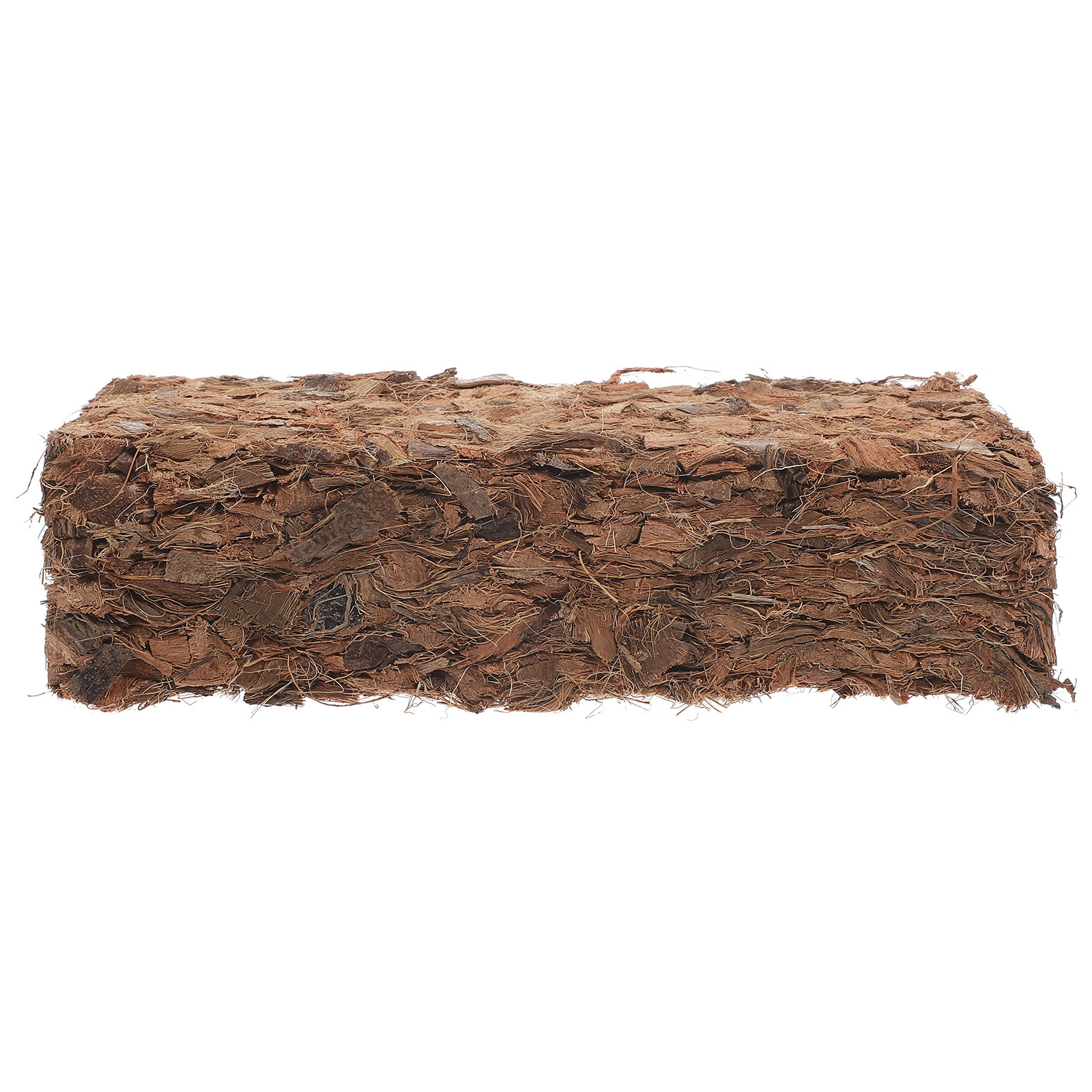 Plant Nursery Block Coconut Co - Nutrition & Fitness Station avis et prix