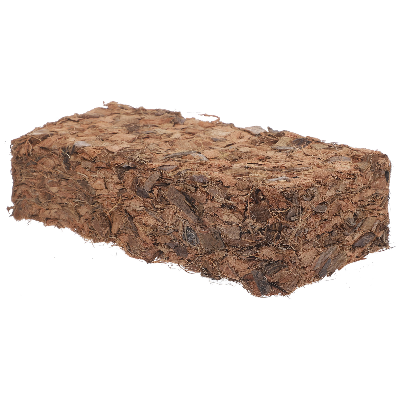 Plant Nursery Block Coconut Co - Nutrition & Fitness Station avis et prix